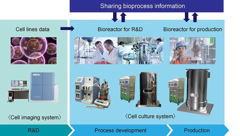 biotechnology slide