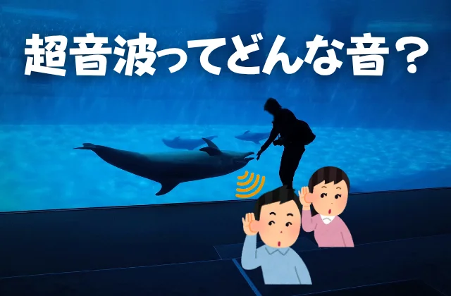 巨大な水槽のアクリルガラス越しにイルカの超音波が聞こえないか？と耳を傾ける男女