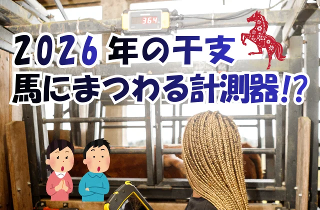 怖がらないように馬を撫でながら馬体重を測っている様子